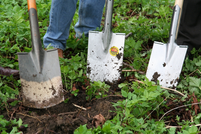 pepiniere-COURMES-min_work-lawn-flower-tool-green-backyard-1103633-pxhere.com